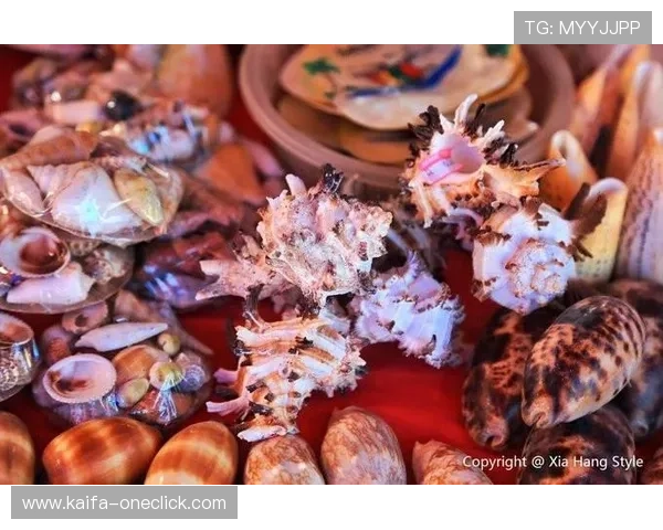 沙巴电竞与传统体育的结合，带来全新的竞技体验和观赏方式