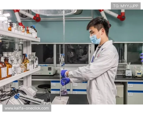 凯发k8国际官网：用户评价与客服支持服务全方位解析