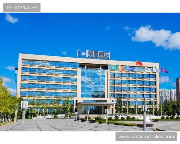 凯发国际k8官网登录优化界面设计，提升用户操作的便捷性与视觉体验